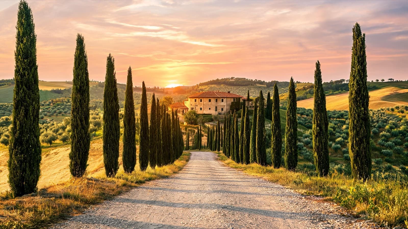 Tuscan countryside road lined with cypress trees leading to a stone farmhouse at sunset